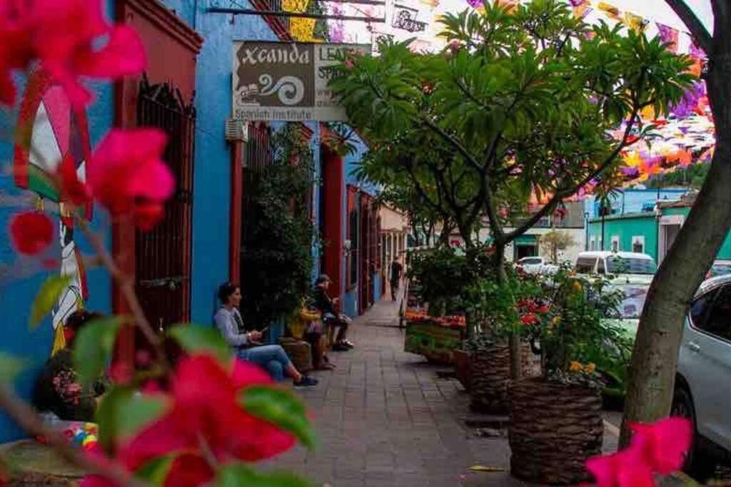 Calida Habitacion A 10 Min De Santo Domingo Oaxaca 外观 照片